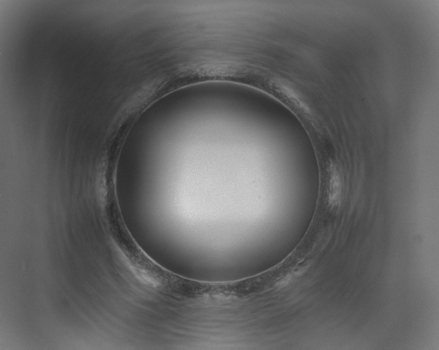 X0000074950586200609011123