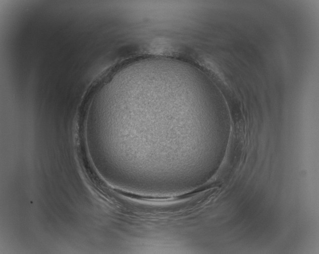 X0000074950587200609011123