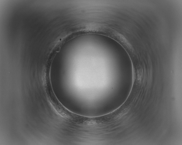 X0000074950588200609011123