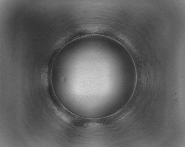X0000074950590200609011122