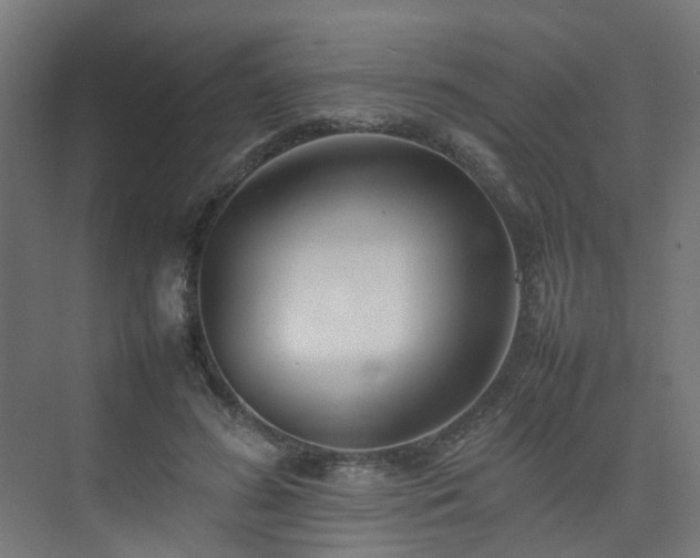 X0000074950596200609011122
