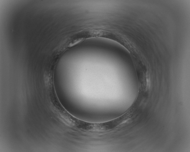 X0000074950601200609011122