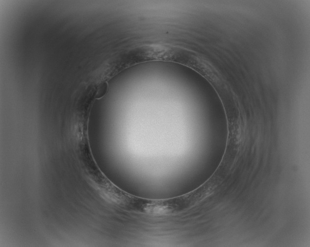 X0000074950602200609011122