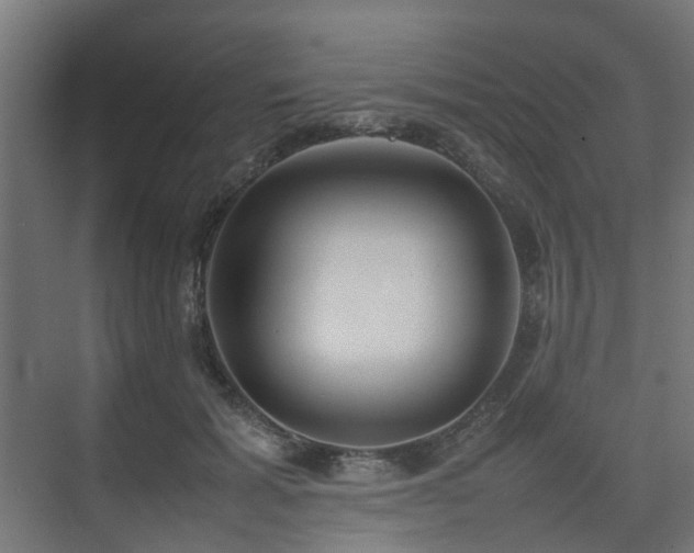 X0000074950605200609011122