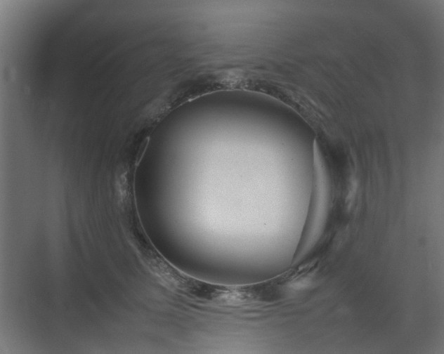 X0000074950611200609011122