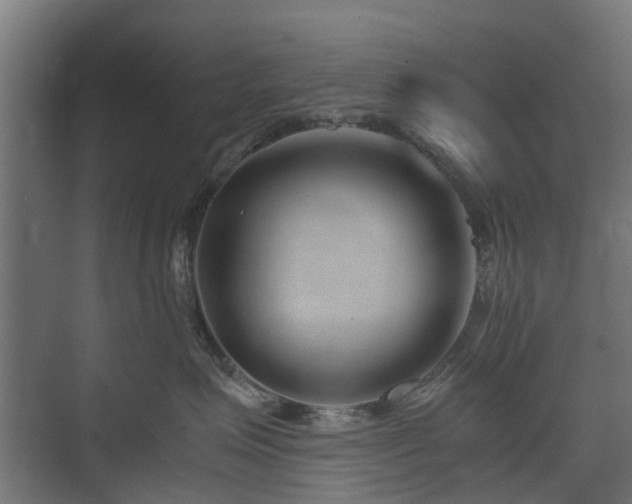 X0000074950623200609011122