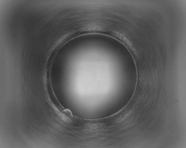 X0000074950629200609011121
