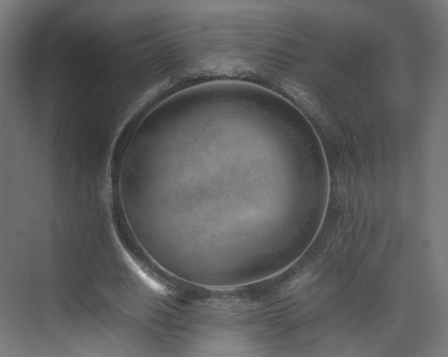 X0000074950630200609011121