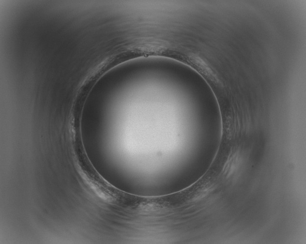 X0000074950634200609011121