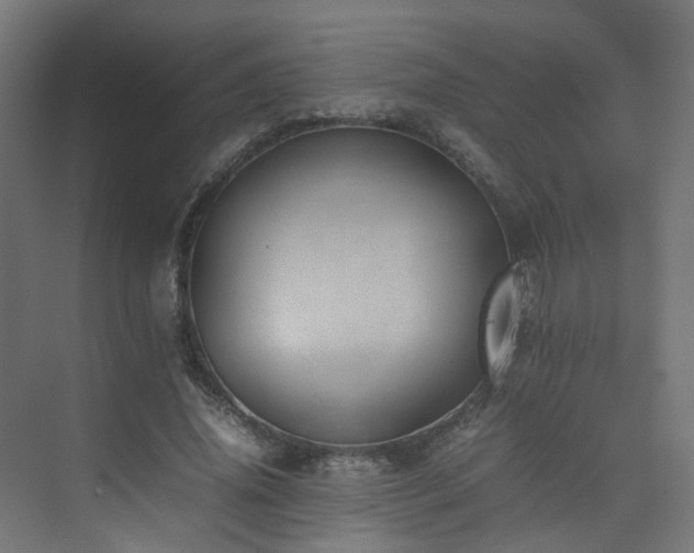 X0000074950636200609011121
