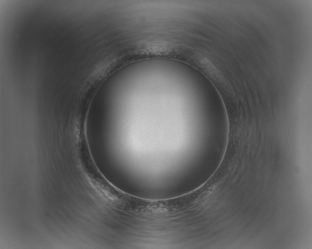 X0000074950640200609011121