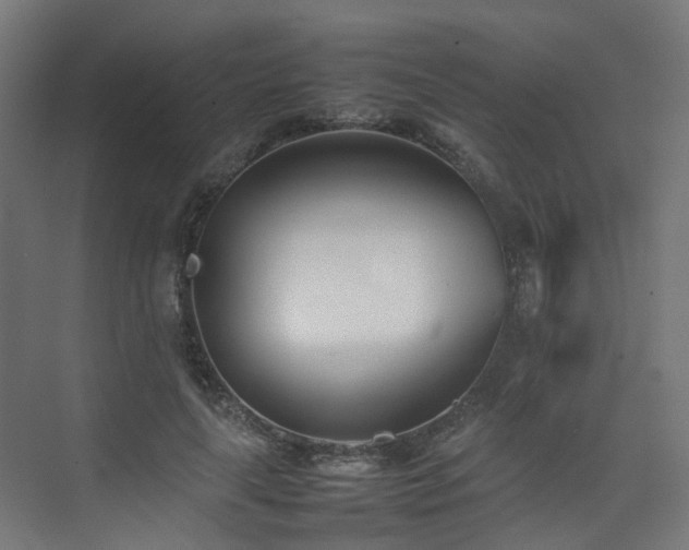 X0000074950643200609011121