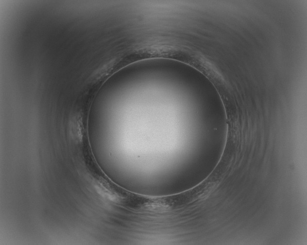 X0000074950644200609011121