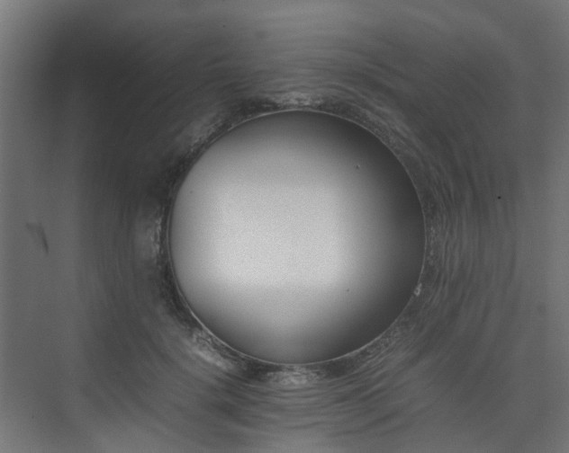 X0000074950652200609011122
