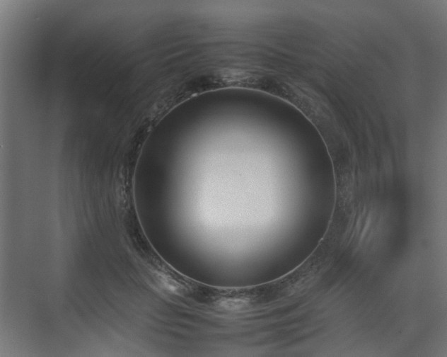 X0000074950653200609011122