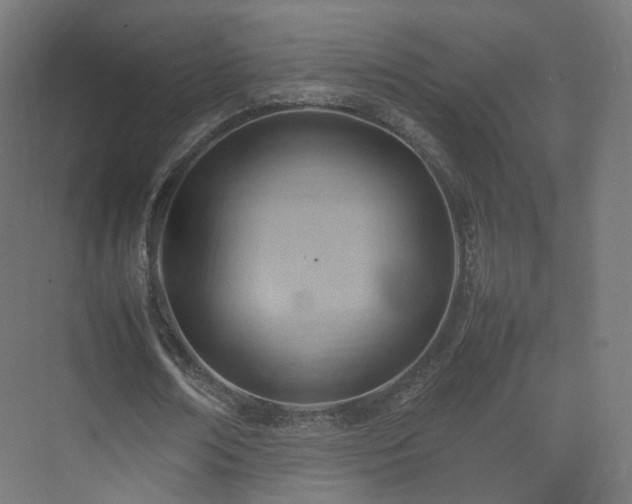 X0000074950674200609011121
