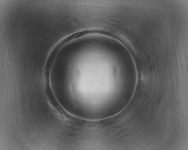 X0000074950676200609011121