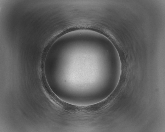 X0000074950677200609011121