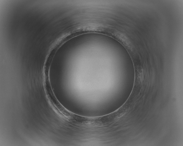 X0000074950678200609011121