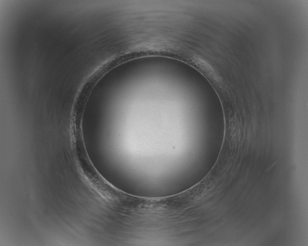 X0000074950680200609011121