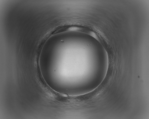 X0000074950681200609011121