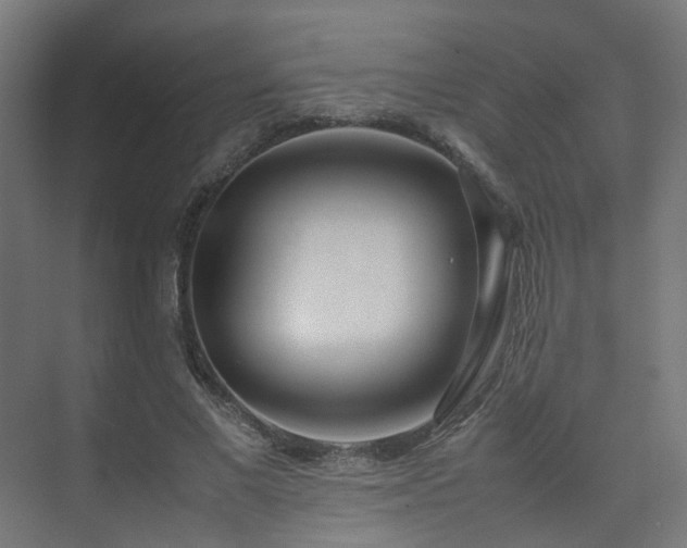 X0000074950685200609011121