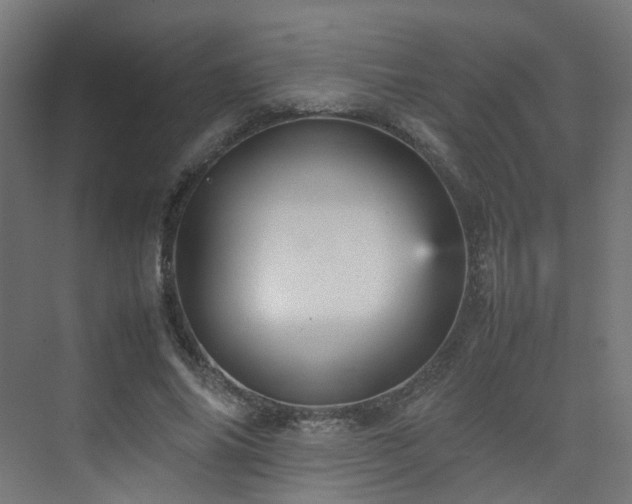 X0000074950686200609011121