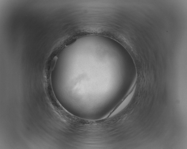X0000074950688200609011121