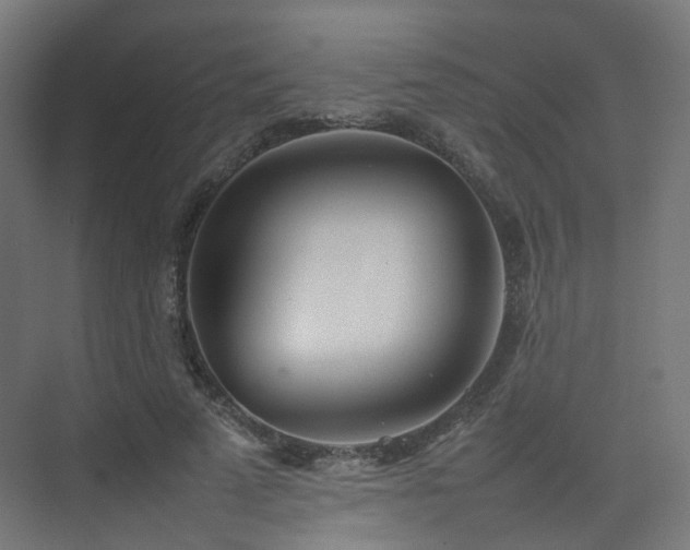 X0000074950689200609011121