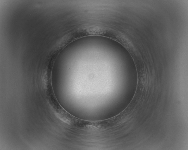 X0000074950690200609011121