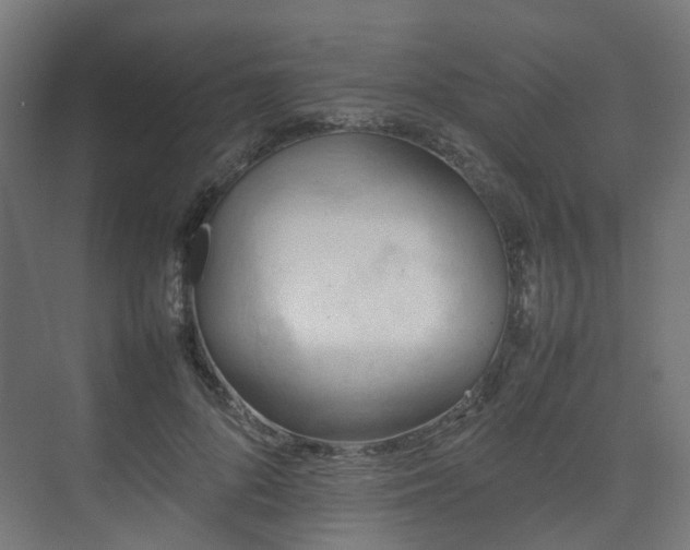 X0000074950696200609011121