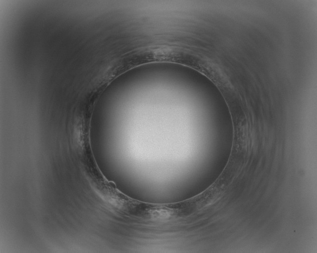 X0000074950698200609011121