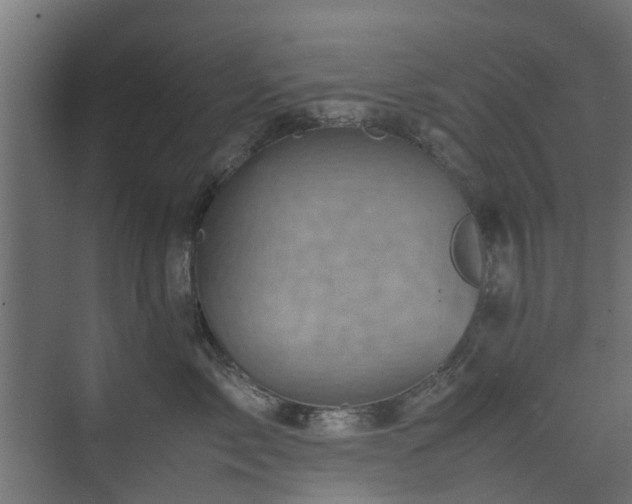 X0000074950717200609011120