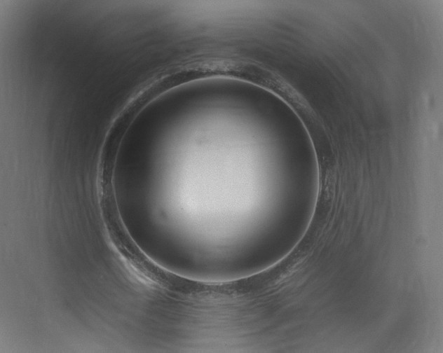 X0000074950722200609011119