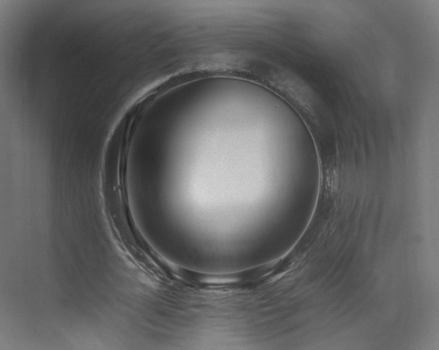 X0000074950724200609011120