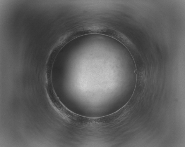 X0000074950734200609011120