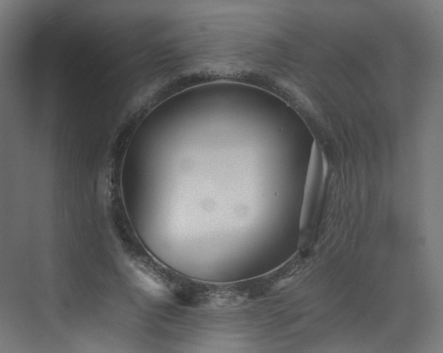 X0000074950736200609011120
