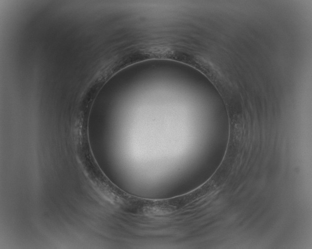 X0000074950739200609011120