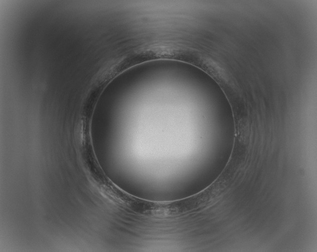 X0000074950740200609011120