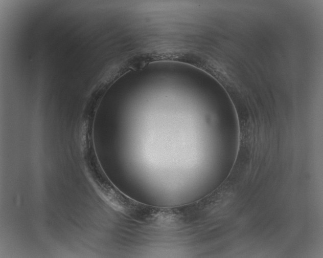 X0000074950742200609011120