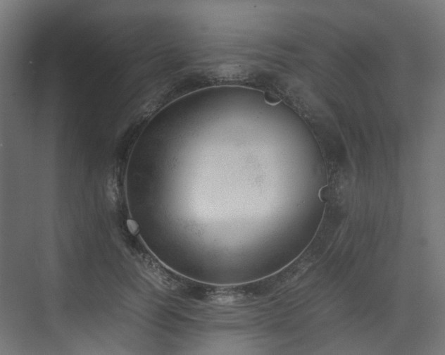 X0000074950746200609011120