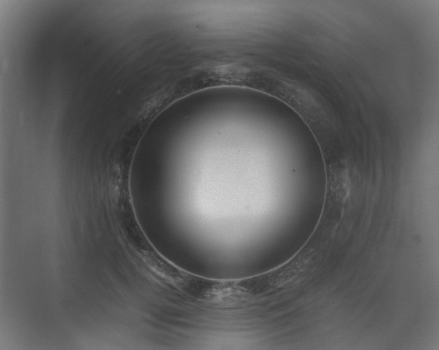 X0000074950752200609011120