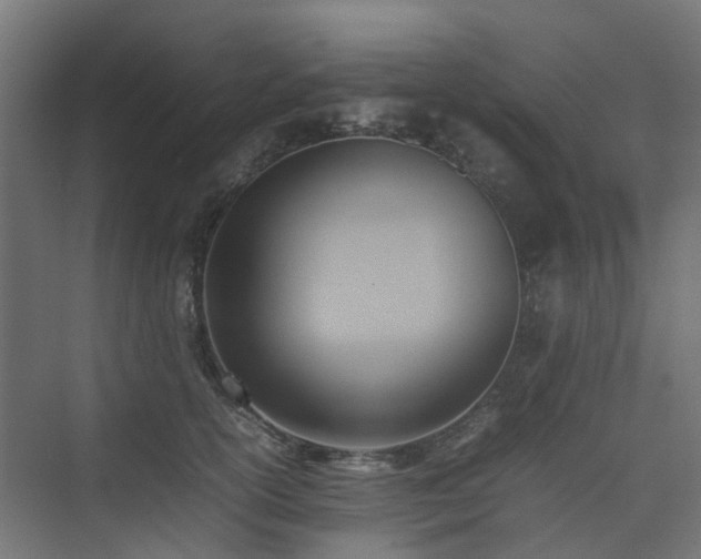 X0000074950754200609011120