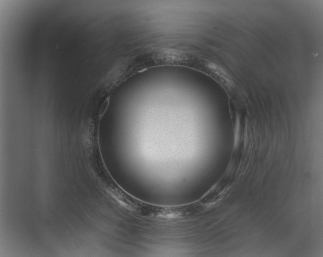 X0000074950760200609011120