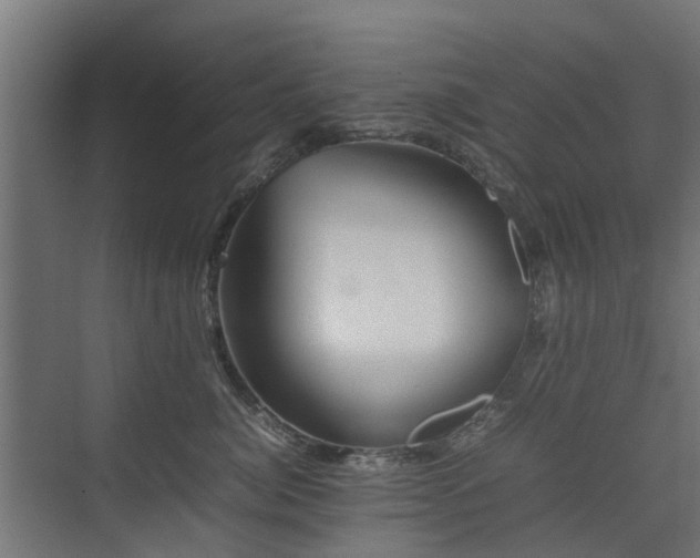 X0000074950764200609011120