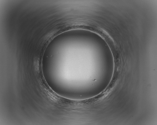 X0000074950777200609011119