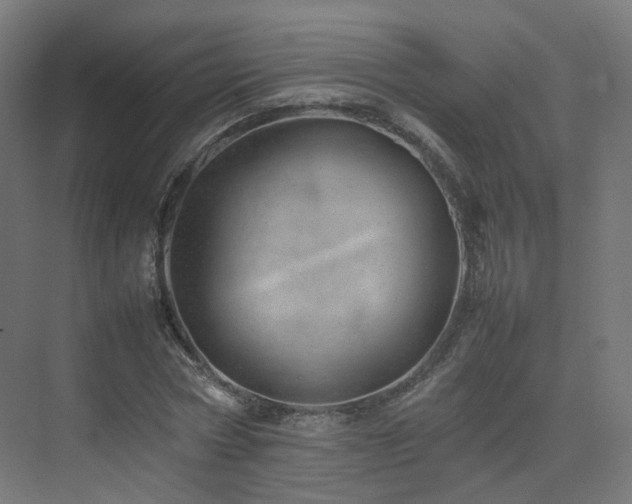 X0000074950778200609011119