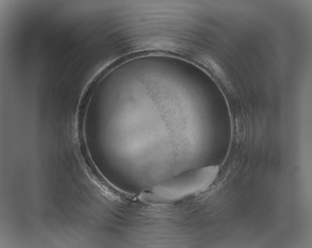 X0000074950780200609011119