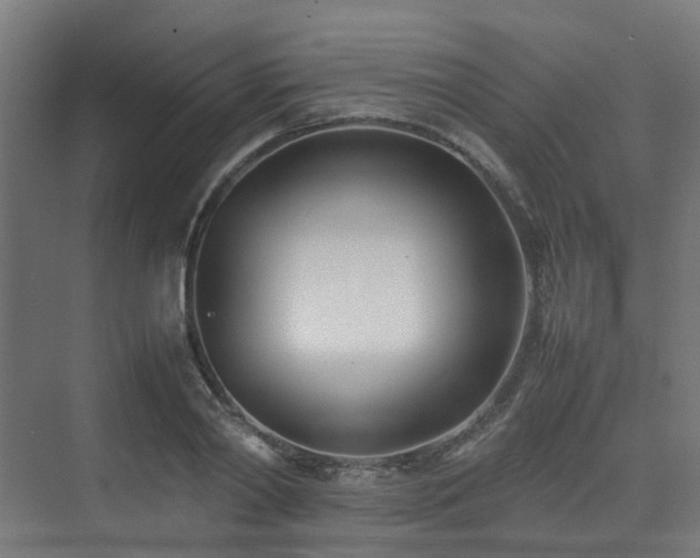 X0000074950790200609011119