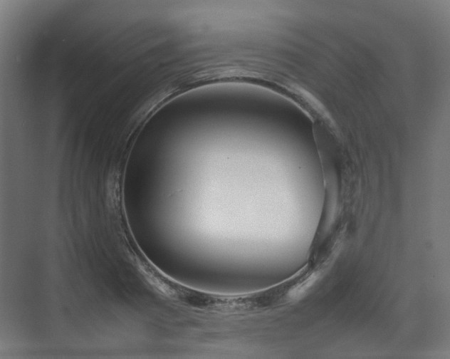 X0000074950793200609011119